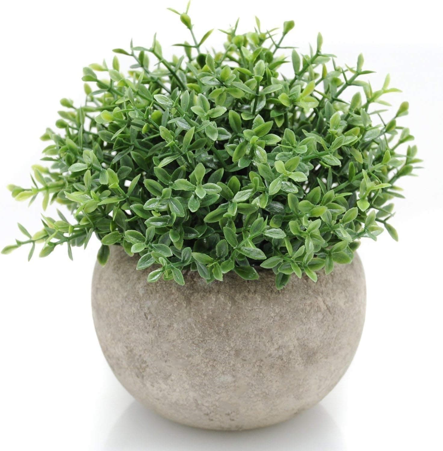 mini faux boxwood plants — photo 1 of 3