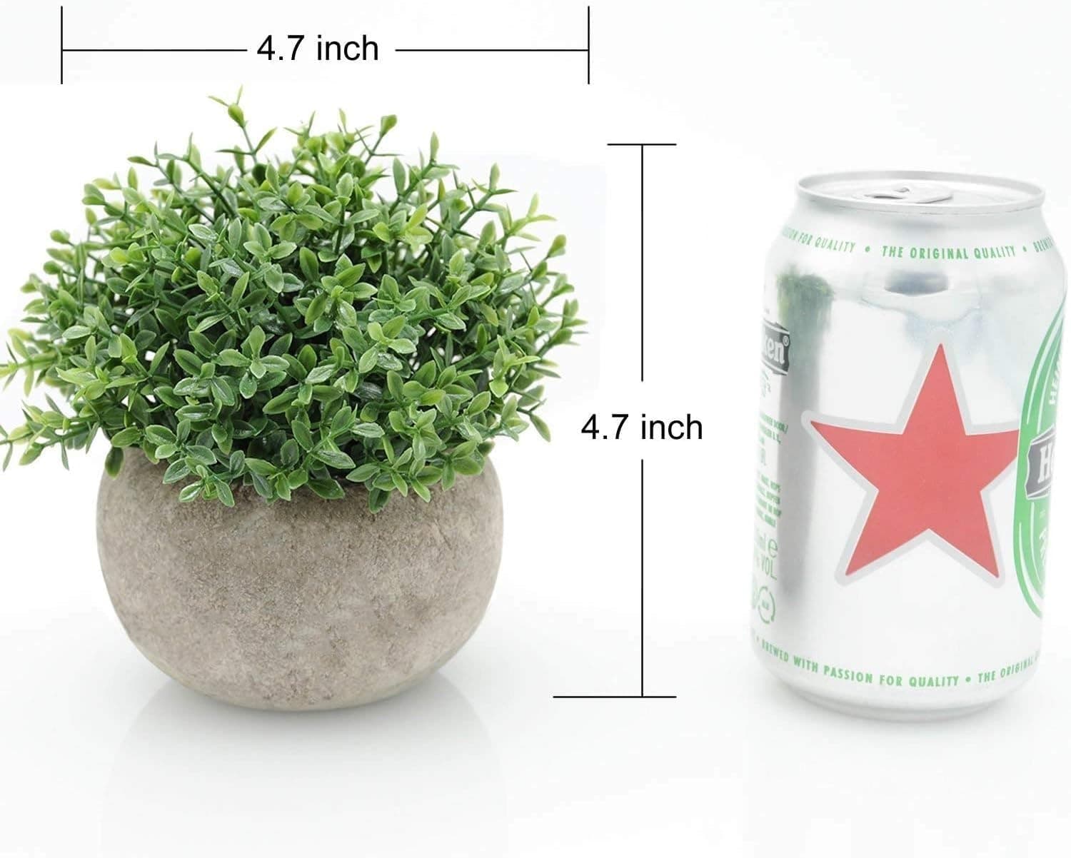 mini faux boxwood plants — photo 3 of 3