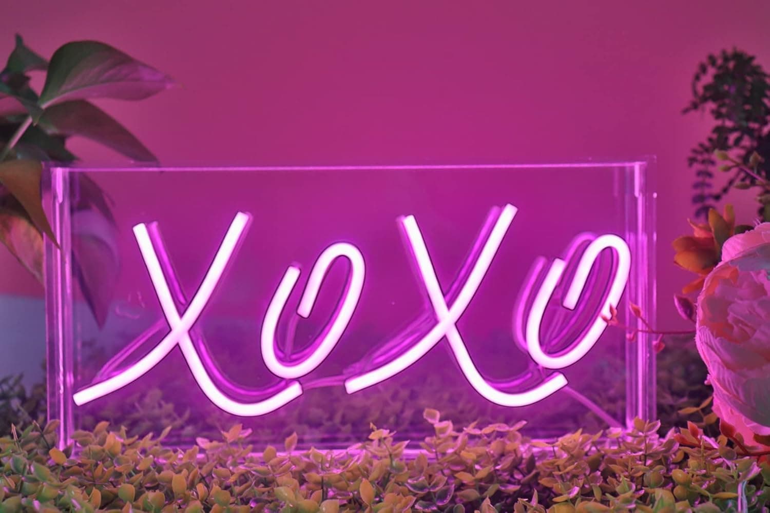 XOXO LED neon sign — photo 3 of 4